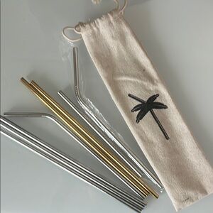 Stainless Steel and Gold Reusable Straw Set